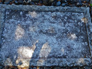 photo thumbnail #8