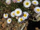 Featured Detail Photo
