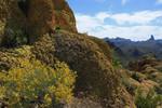 photo thumbnail #13