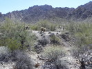 photo thumbnail #12