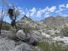 photo thumbnail #13