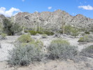 photo thumbnail #14