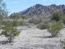 photo thumbnail #15