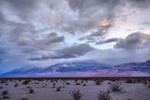 photo thumbnail #11