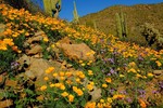 photo thumbnail #2