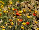 photo thumbnail #8
