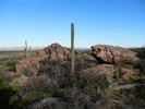 photo thumbnail #6
