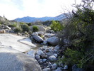 photo thumbnail #11