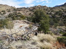 photo thumbnail #12