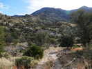 photo thumbnail #13