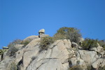 photo thumbnail #4