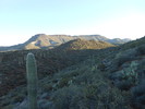 photo thumbnail #1