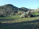 photo thumbnail #2
