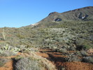 photo thumbnail #4