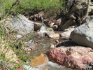 photo thumbnail #2