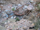 photo thumbnail #4