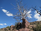 photo thumbnail #11