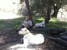 photo thumbnail #1