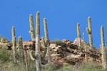 photo thumbnail #8