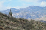 photo thumbnail #15