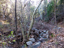 photo thumbnail #5