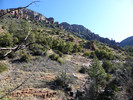 photo thumbnail #7