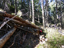 photo thumbnail #10