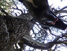 photo thumbnail #12