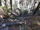 photo thumbnail #15