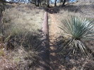 photo thumbnail #2