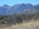 photo thumbnail #9