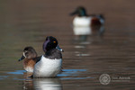 photo thumbnail #10