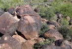 photo thumbnail #5