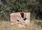 photo thumbnail #1