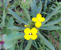 photo thumbnail #5