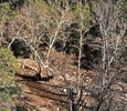 photo thumbnail #11