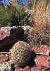 photo thumbnail #7