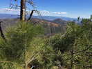 photo thumbnail #13