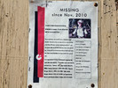 photo thumbnail #15