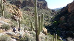 photo thumbnail #8