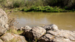 photo thumbnail #2