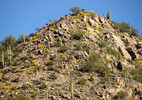 photo thumbnail #8