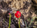 photo thumbnail #7