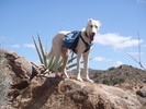 photo thumbnail #2