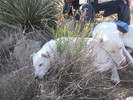 photo thumbnail #6