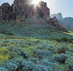 photo thumbnail #5