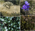 photo thumbnail #12
