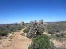 photo thumbnail #1