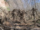 photo thumbnail #10