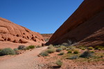 photo thumbnail #14